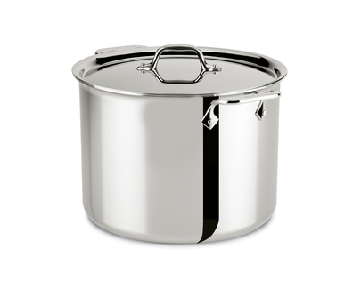 ALL-CLAD Stainless 6-Qt Stockpot 4506
